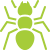 icons8-ant-50